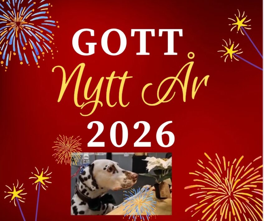 Hej då 2025